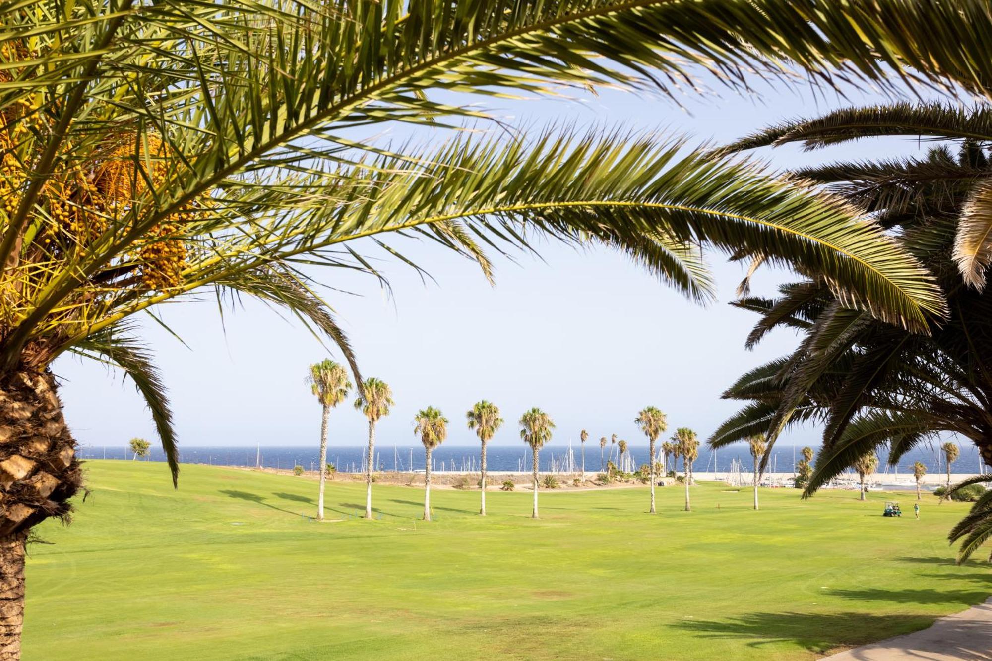 Apartment Home2book Design Pool & Terrace Golf Del Sur *